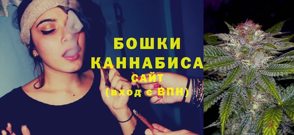 трава Няндома