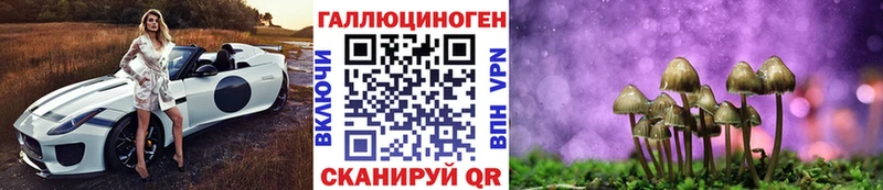 Галлюциногенные грибы Psilocybine cubensis  Купить  Стерлитамак 